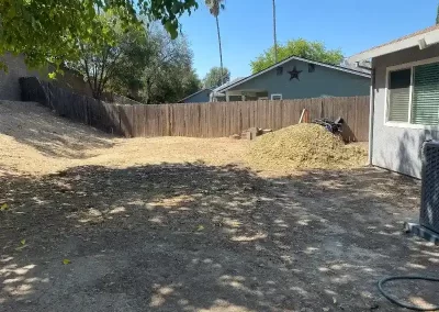 Affordable Tree Company