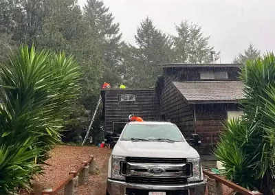 Dependable Tree Company