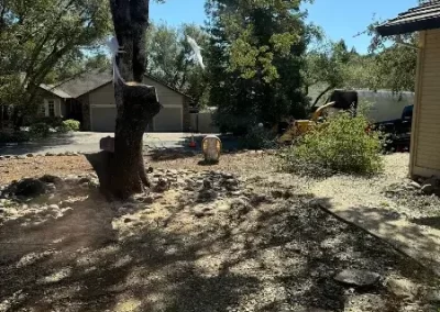 Dependable Tree Service