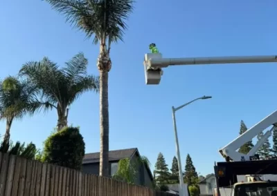 Dependable Tree Specialist