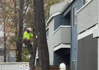 Preferred Tree Service