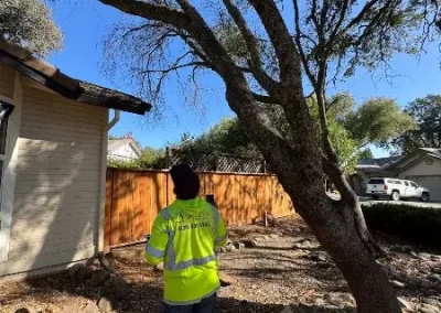 Quality Tree Service