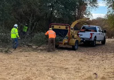 Trusted Tree Service