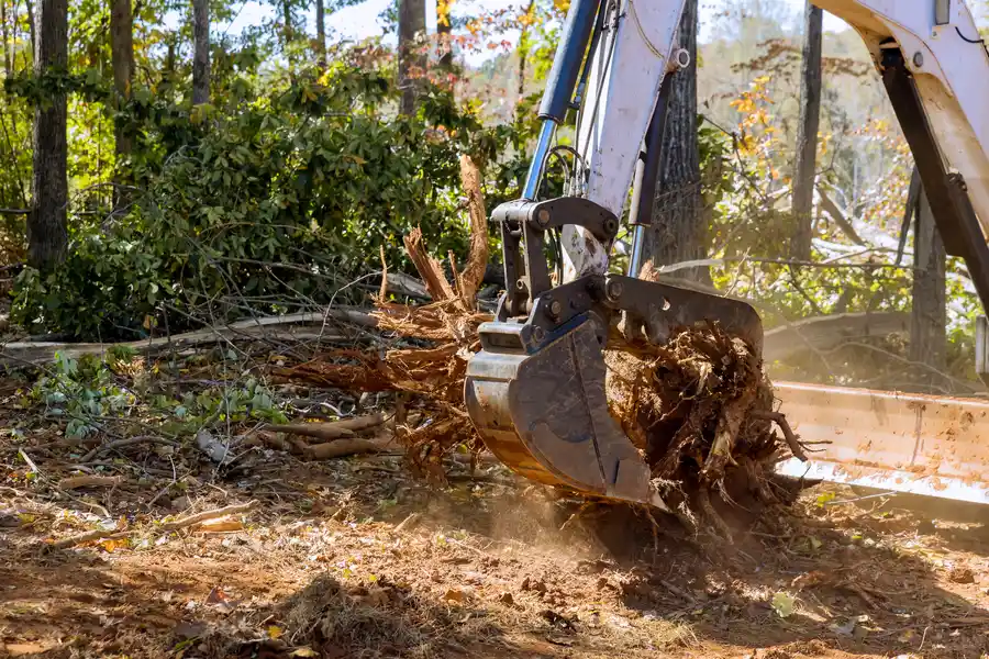 Professional Tree Stump Removal Roseville, CA Professional Tree Stump Removal Roseville, CA