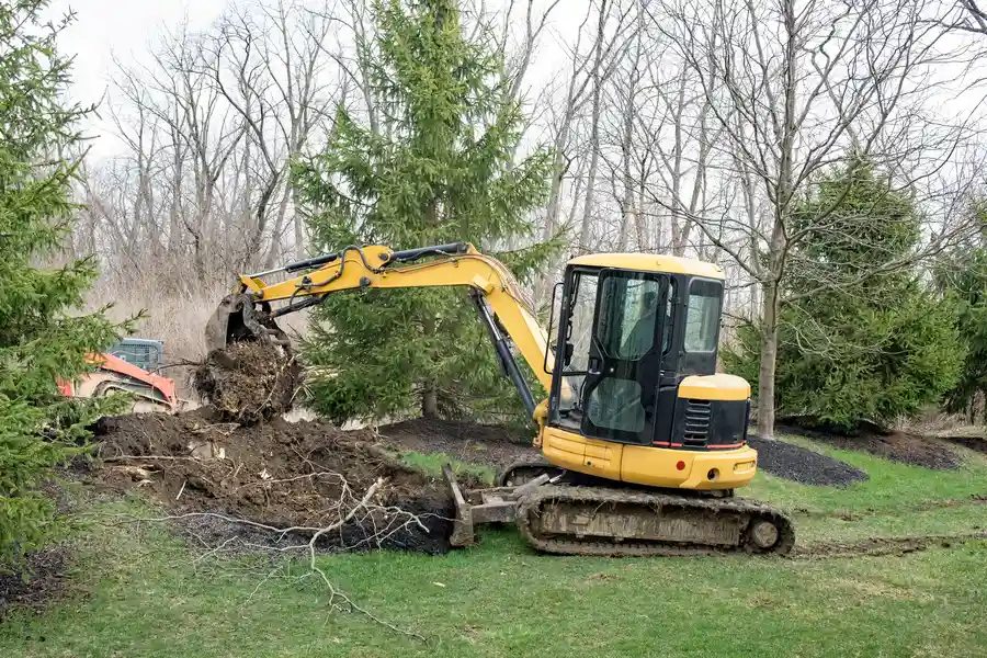 Reputable Tree Stump Removal Roseville, CA Reputable Tree Stump Removal Roseville, CA