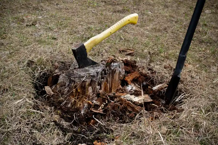 Tree Stump Removal For Improved Lawn Functionality Roseville, CA