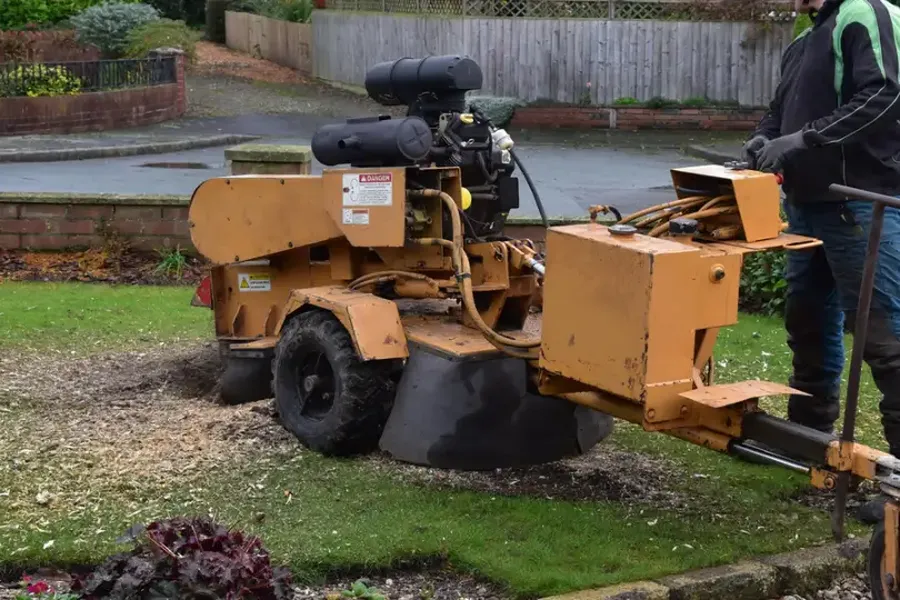 When Should You Consider Tree Stump Grinding Services Roseville, CA When Should You Consider Tree Stump Grinding Services Roseville, CA